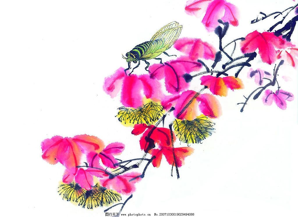 中国画-昆虫 中国画 国画 花鸟鱼虫 昆虫 美术 艺术 写意 文化艺术