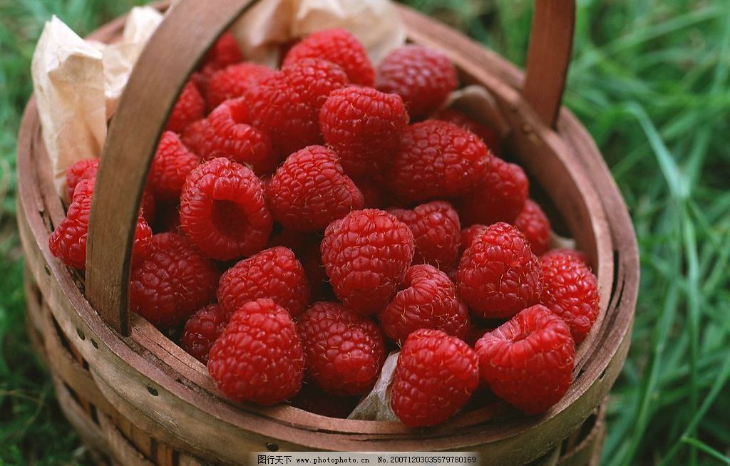 水果果实图片,生物世界 摄影图库-图行天下图库