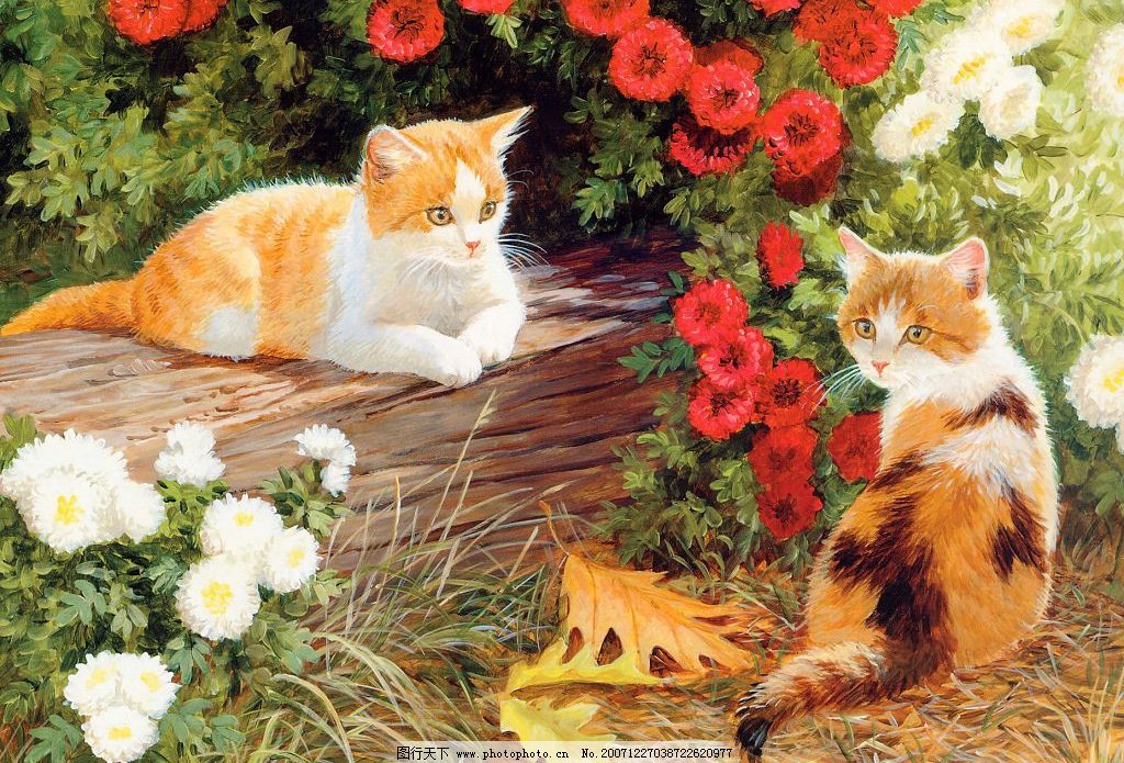 可爱的猫咪 两只小猫 花路 美术绘画 手绘小猫咪 摄影图库