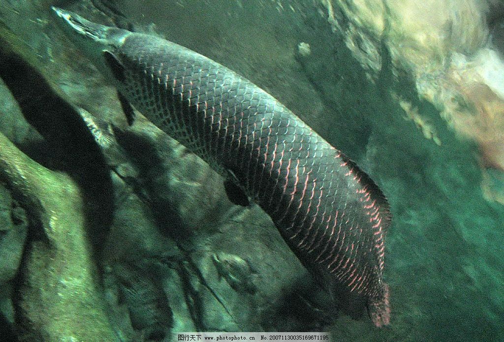 博鱼体育- 博鱼体育官方网站- 最新网址河北作家李文蔚杂剧创作成就述论