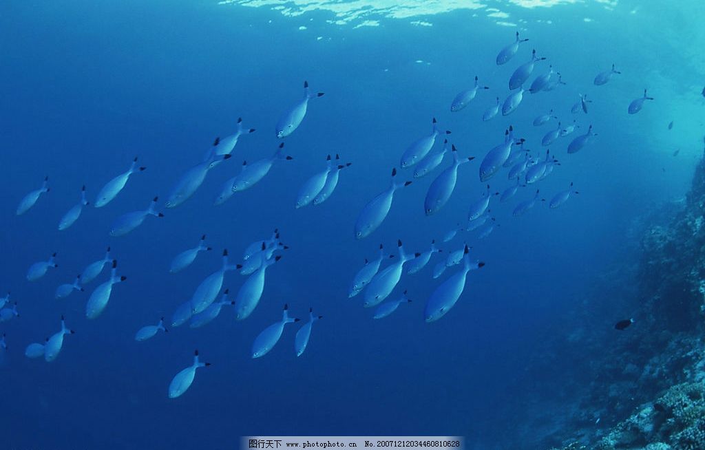 海洋,风景,自然景观,山水风景,摄影图库,350,JPG,